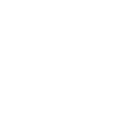 NEXT AUDIO